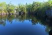 Cenotes en Isla de la Juventud atraen al turismo ecológico