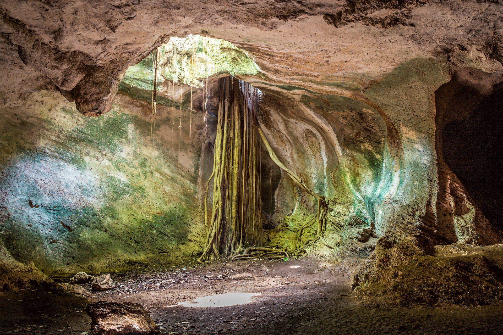 Revelaciones ancestrales en la Cueva de Ambrosio