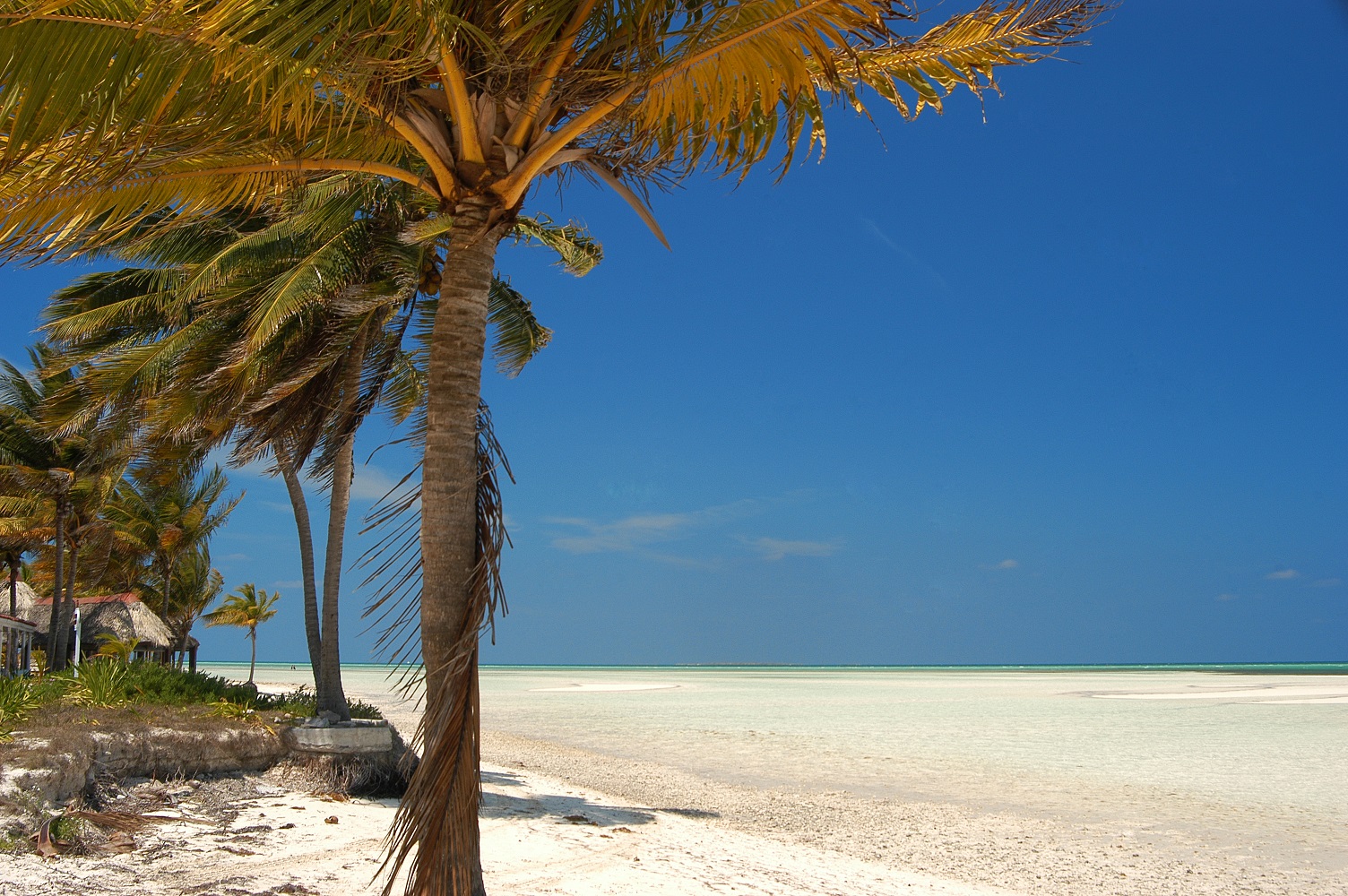 Cayo Guillermo Cuba