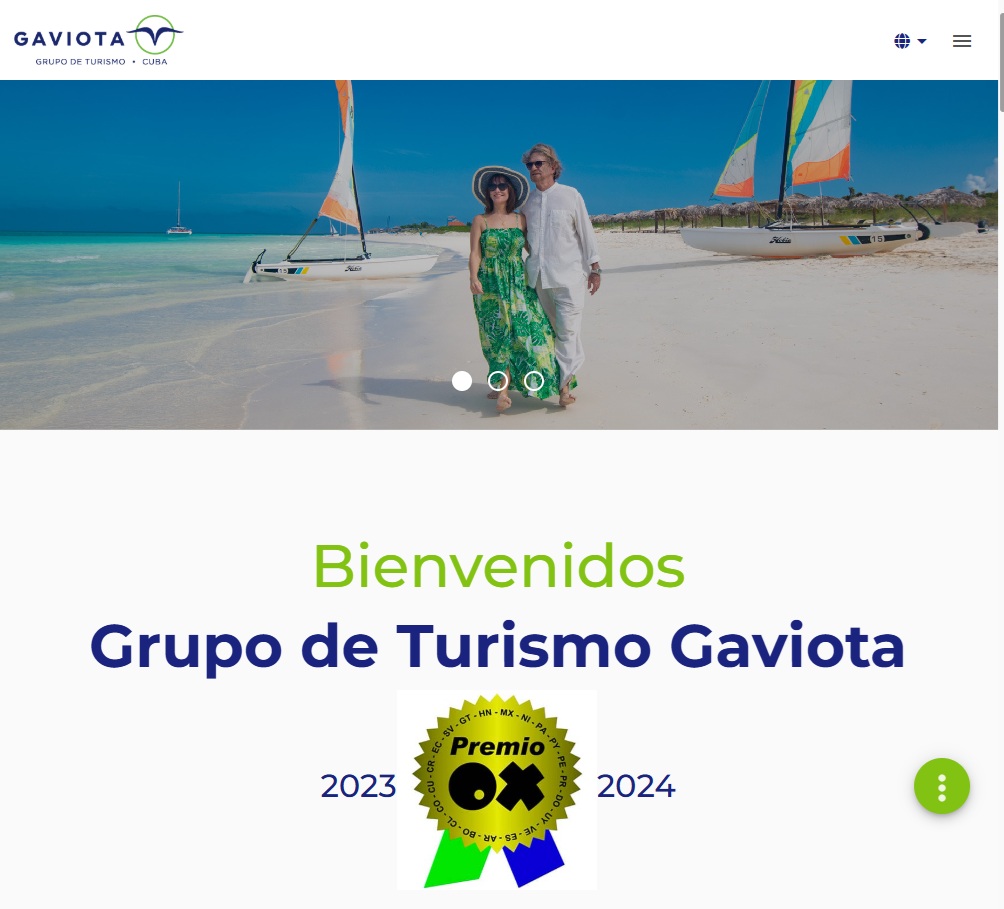 Gaviota vuelve a brillar: su página web triunfa en los Premios OX por tercer año consecutivo