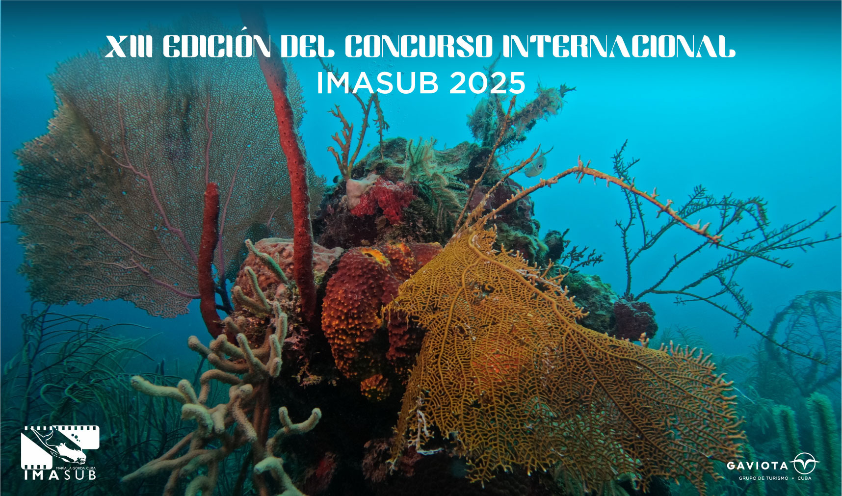 imasub 2025