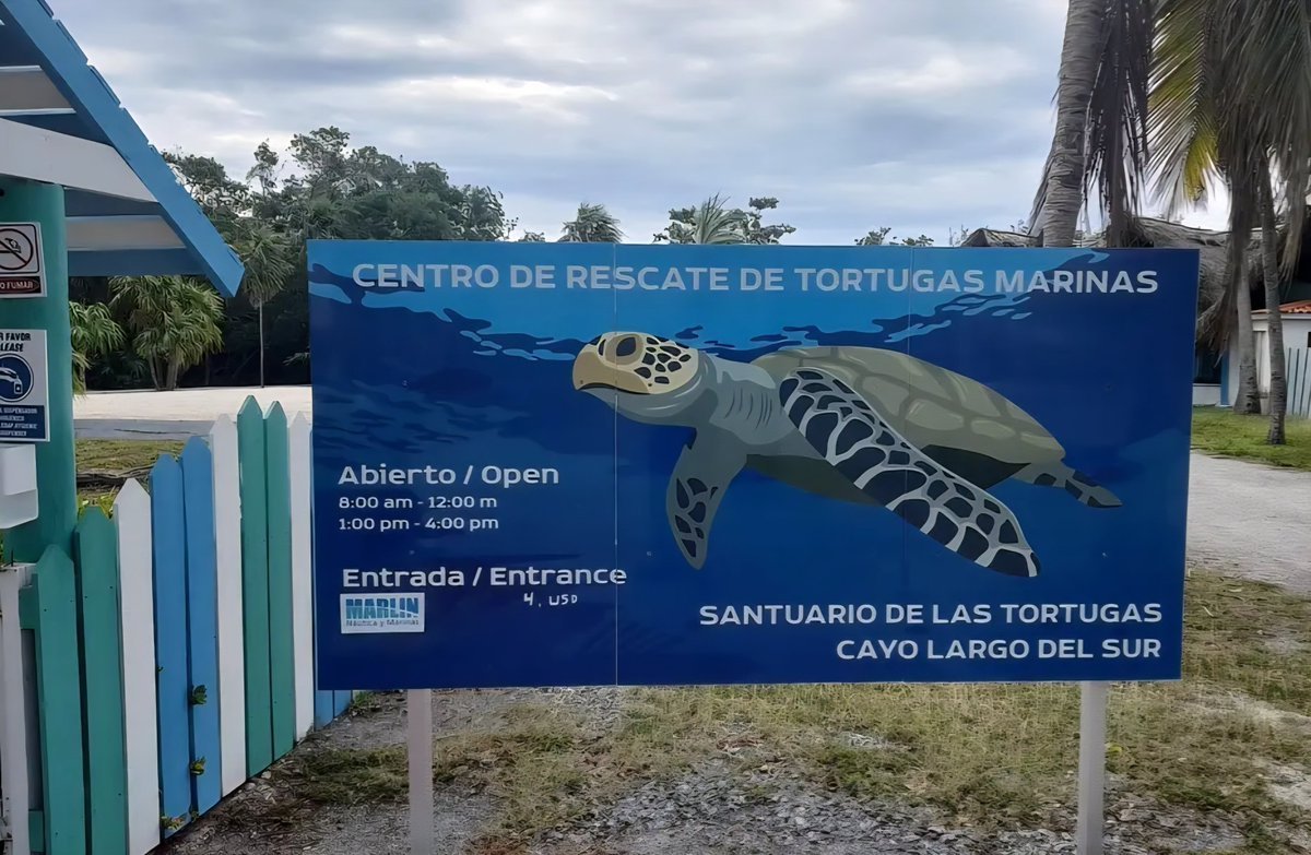 Centro de Rescate de Tortugas Marinas, Cayo Largo del Sur, Cuba