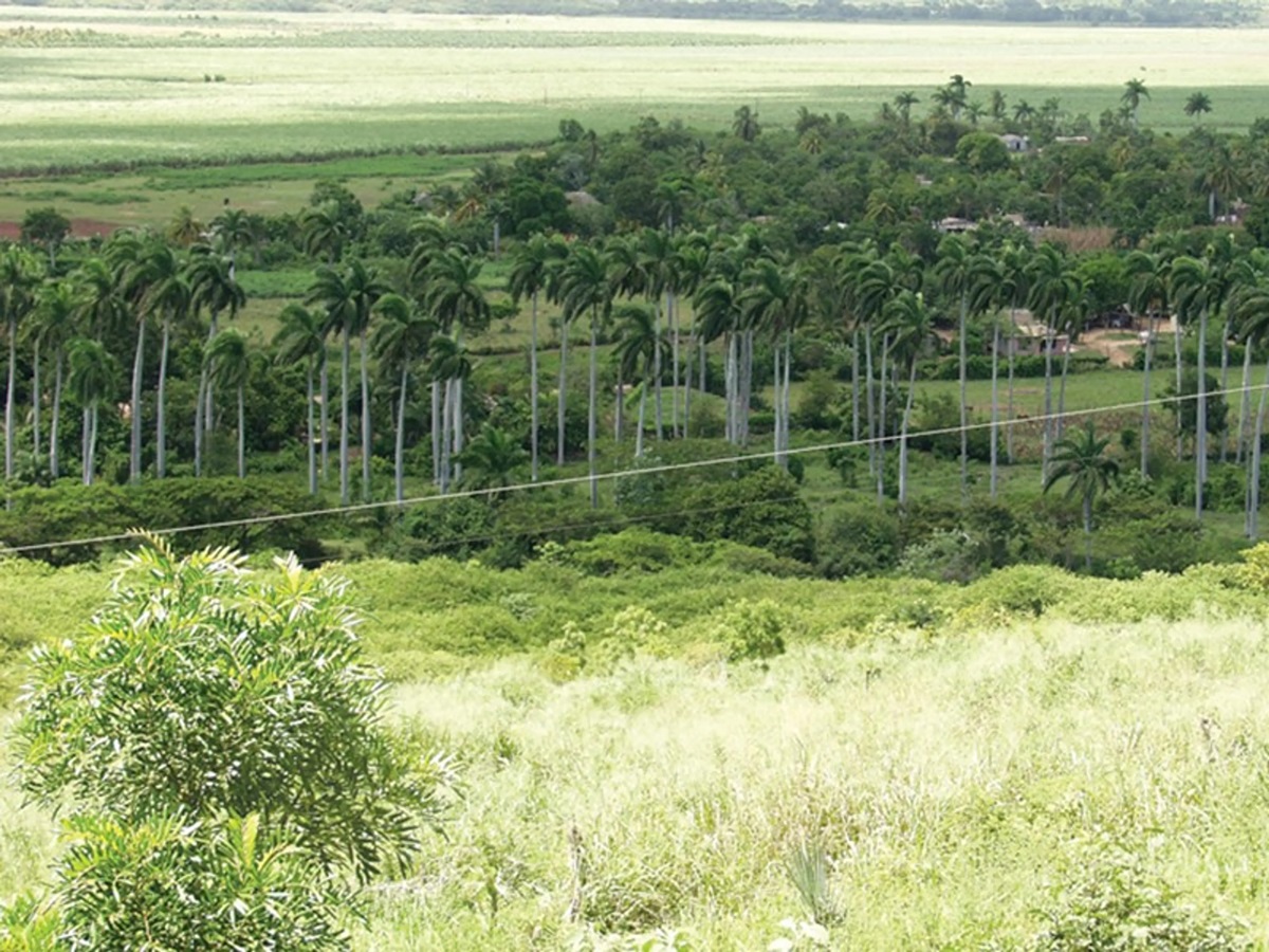 Cerro de Caisimú