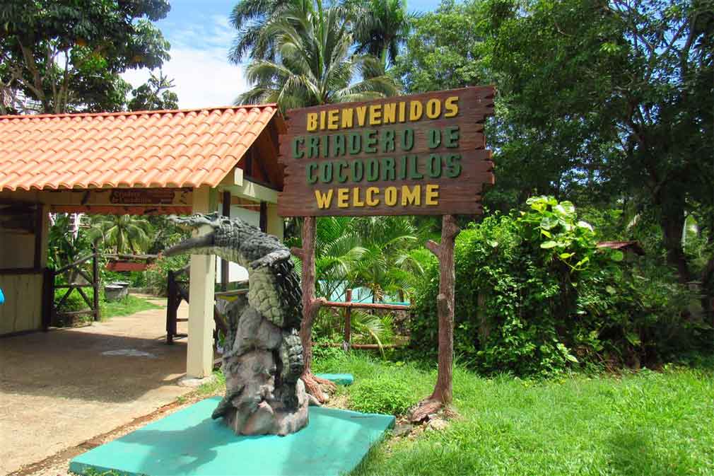 Cuba y el turismo con cocodrilos