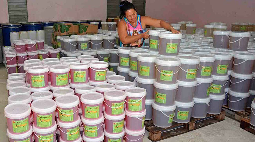 Presentan convocatoria para ExpoCam 2024 en Cuba 