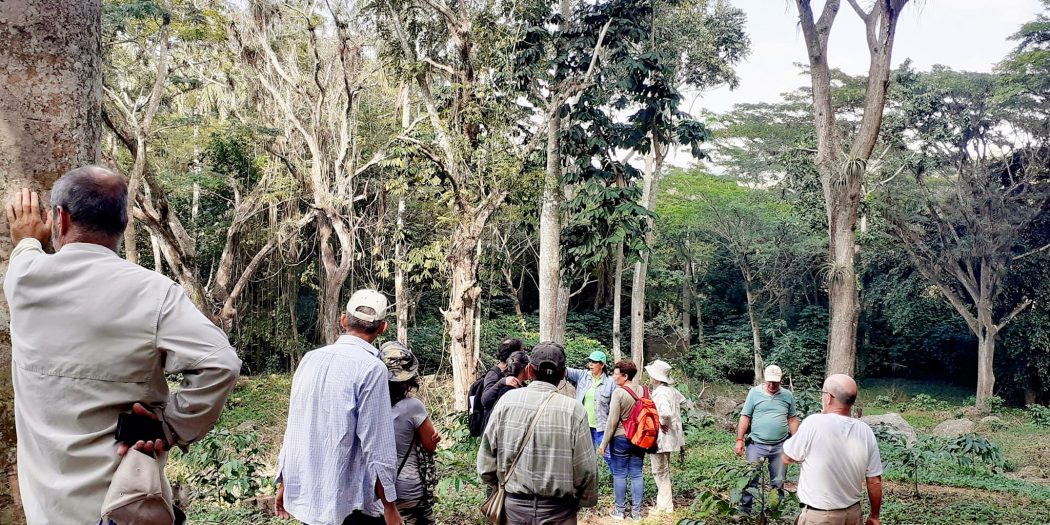 Un museo para el sitio donde cayó un meteorito en Fomento, Sancti Spíritus