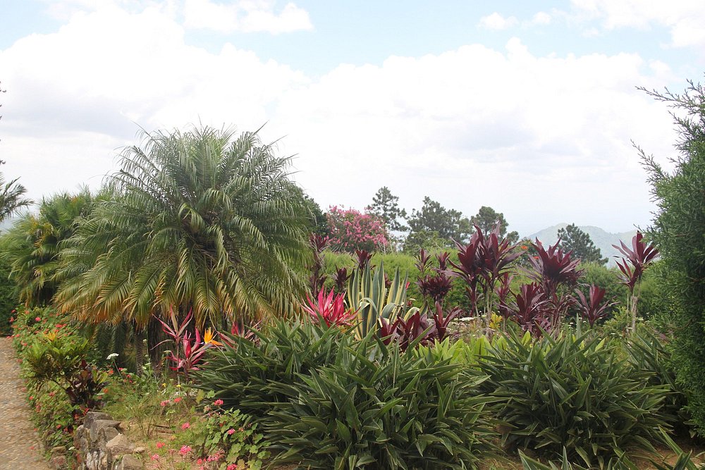 Jardín Ave del Paraíso, una aventura en los cielos de Santiago de Cuba