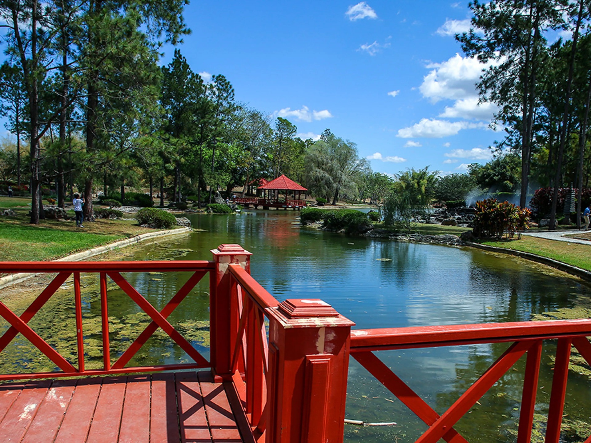 Explora el corazón verde de La Habana en un viaje inolvidable