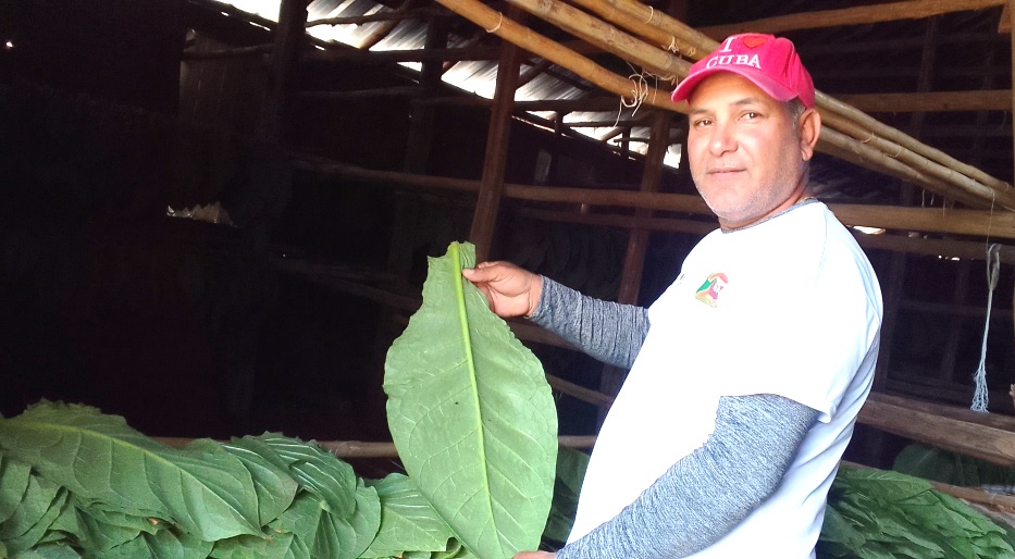 Finca El Porvenir
