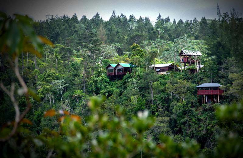 Holguín y el origen de las áreas protegidas en Cuba