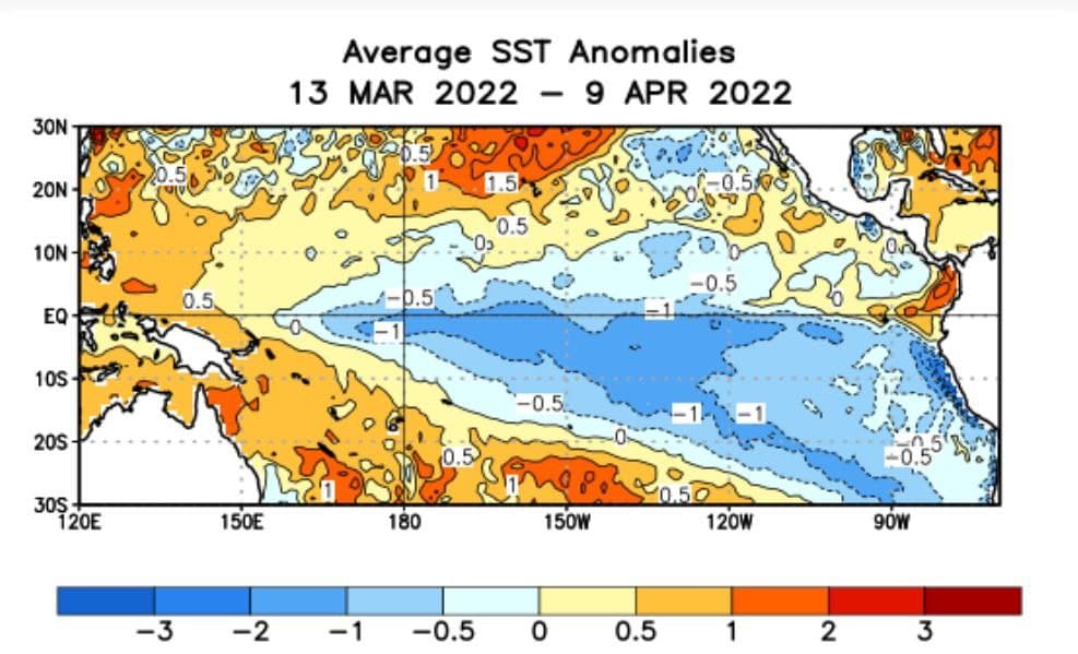 Anomalías negativas de la Temperatura Superficial del Mar en el Pacífico Ecuatorial Oriental (aguas más frías de lo normal) es sinónimo de un evento La Niña. Gráfica de a NOAA, correspondiente al promedio del 13 de marzo al 7 de abril pasado.