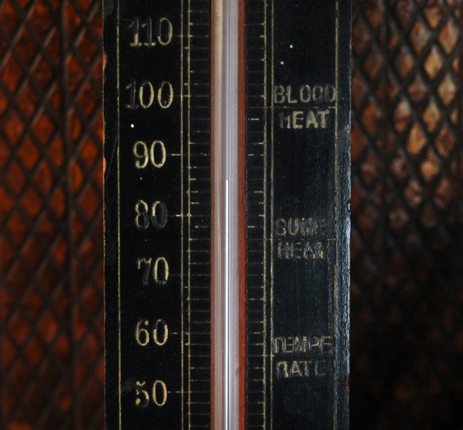 Antiguo Termómero (Fahrenheit)