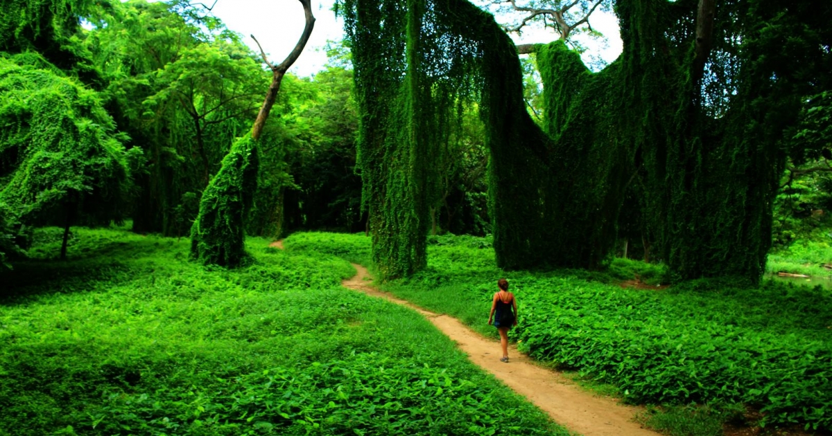 Parque Almendares