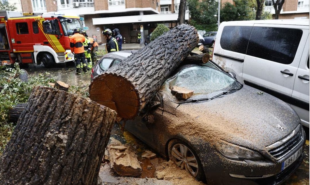 Efectos de los vientos de la intensa borrasca “CIARÁN” en Madrid esta semana. Foto: EFE