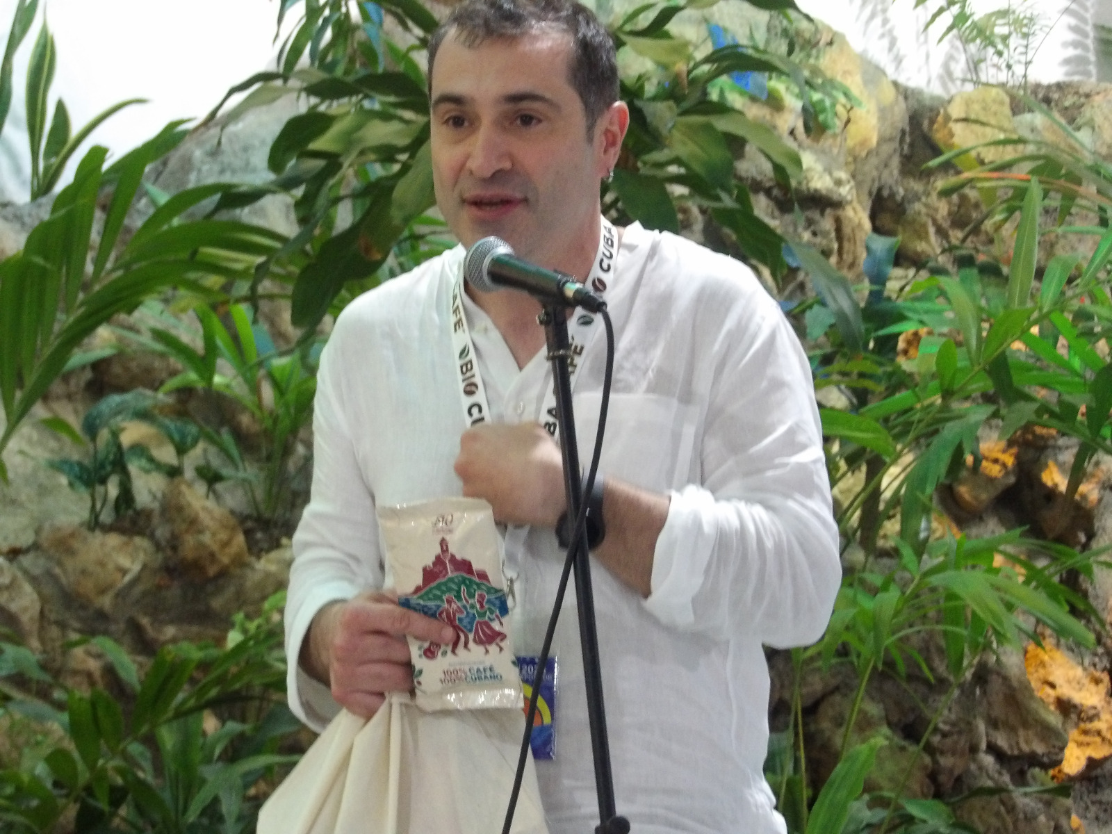 Michele Curto