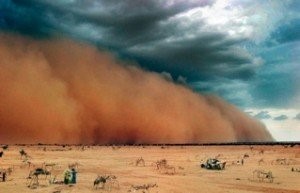 Tormenta de Arena en el desierto del Sáhara, compuesta de arena y polvo elevado por fuertes vientos. Sumamente peligrosa para los que cruzan el desierto.