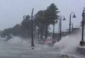 Los fenómenos meteorológicos extremos se han hecho mas frecuentes y también más severos: huracanes, lluvias intensas, sequías, incendios forestales, etc.
