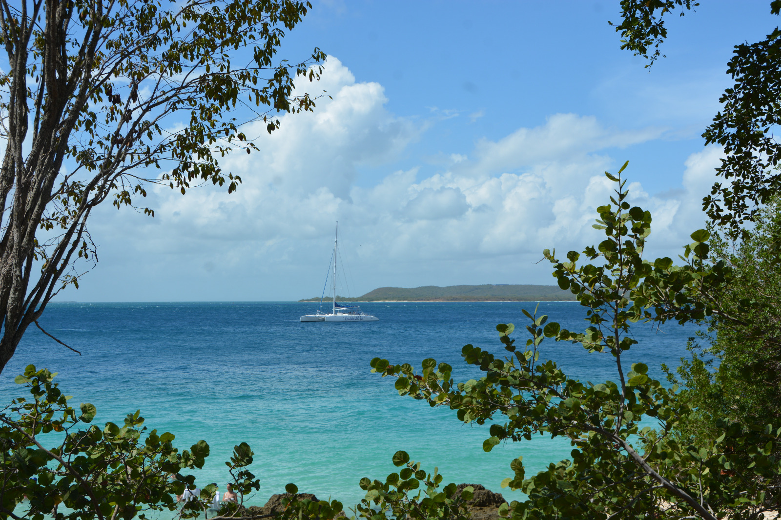 Excursión a Cayo Saetía