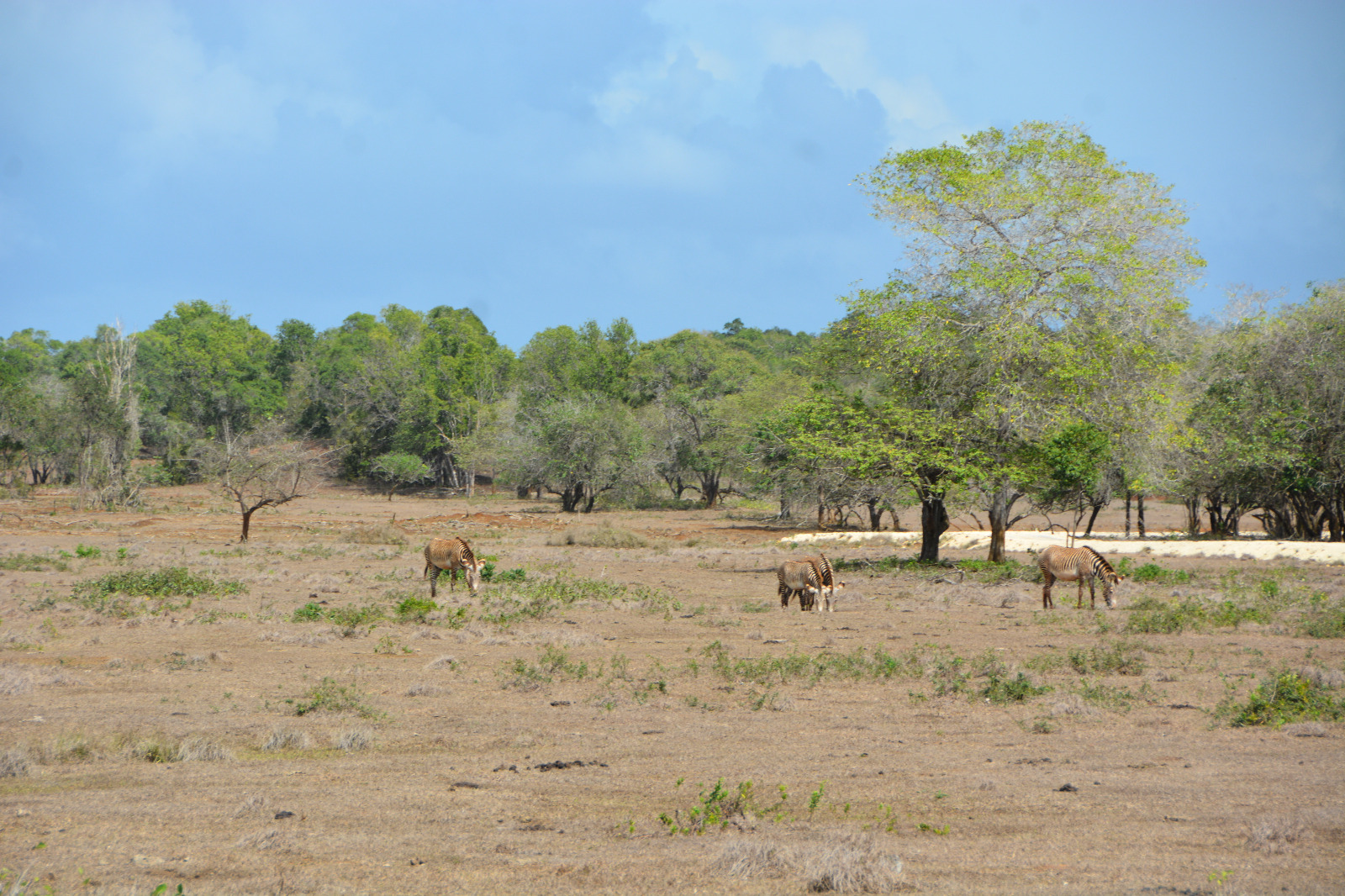 Excursión a Cayo Saetía