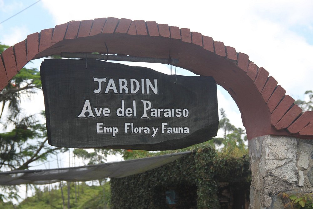 Jardín Ave del Paraíso
