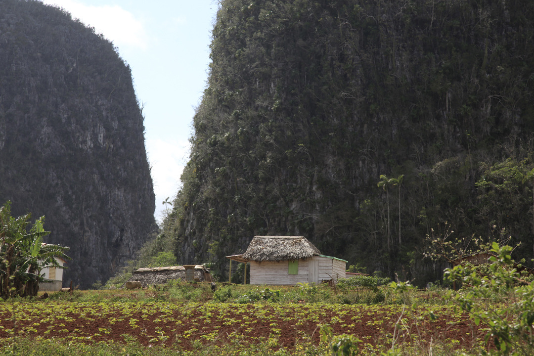 Valle de Viñales