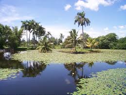 Cuba promueve nuevo sitio de patrimonio mundial natural