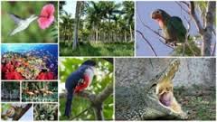La biodiversidad y los servicios turísticos