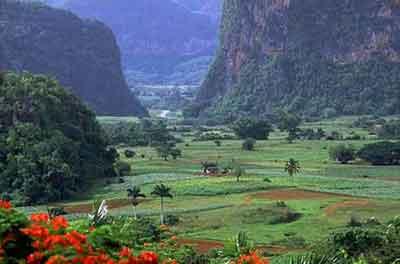 Los valles de Pinar del Río son fastuosos Pinar del Río: un destino turístico para no olvidar