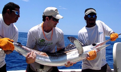 Torneo Internacional de Pesca de la Aguja Ernest Hemingway anuncia convocatoria