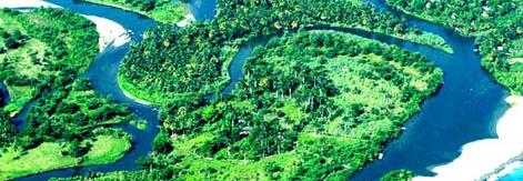 Las Cuchillas del Toa