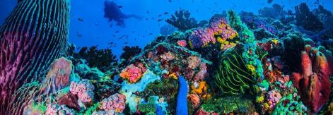 Arrecifes de Nuevitas, un atractivo en el centro de Cuba