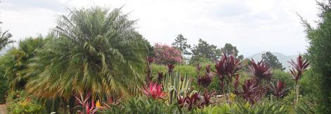 Jardín Ave del Paraíso, una aventura en los cielos de Santiago de Cuba