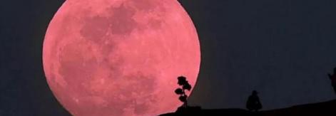 La luna rosa de abril, un espectáculo celestial único