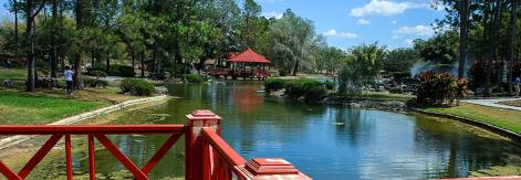 Explora el corazón verde de La Habana en un viaje inolvidable
