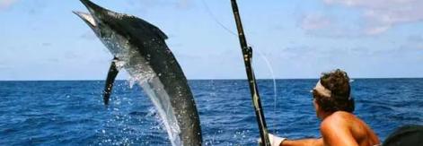 Torneo de Pesca Big Game Trolling