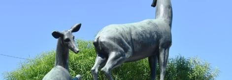 Zoológico de 26, un lugar tradicional de La Habana
