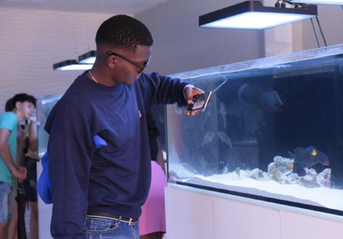 Fascinante miniacuario en Trinidad cautiva a turistas