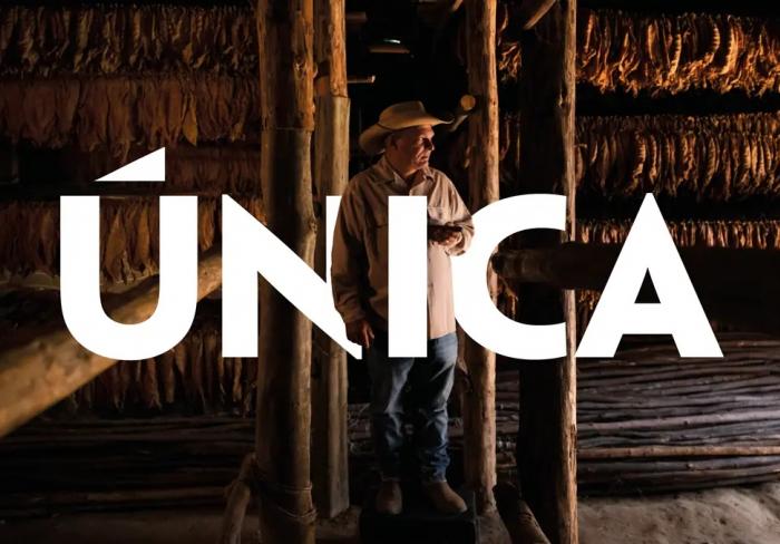 Cuba Única
