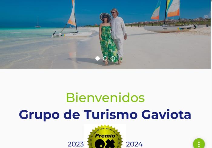Gaviota vuelve a brillar: su página web triunfa en los Premios OX por tercer año consecutivo