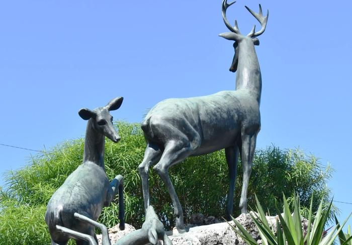 Zoológico de 26, un lugar tradicional de La Habana