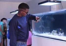 Fascinante miniacuario en Trinidad cautiva a turistas