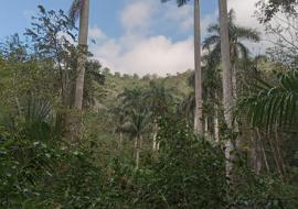 El Hondón: Un valle de maravillas en el corazón de la Sierra de Las Casas 