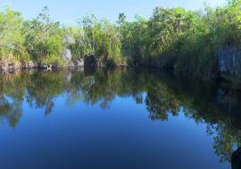 Cenotes en Isla de la Juventud atraen al turismo ecológico