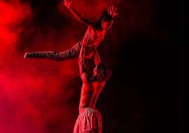 Acosta Danza
