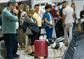 Aduana de Cuba aplica nuevas normas legales desde abril