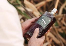 Cuba Ron S.A.: innovación, tradición y sostenibilidad en FitCuba