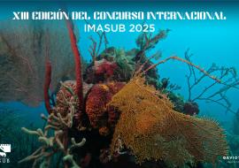 imasub 2025
