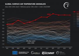 2023: El año más cálido jamás registrado