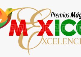 Abierta convocatoria de Premios Mágicos por Excelencias 2024