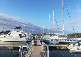 Aventuras únicas desde Cayo Largo del Sur con Marinas Marlin